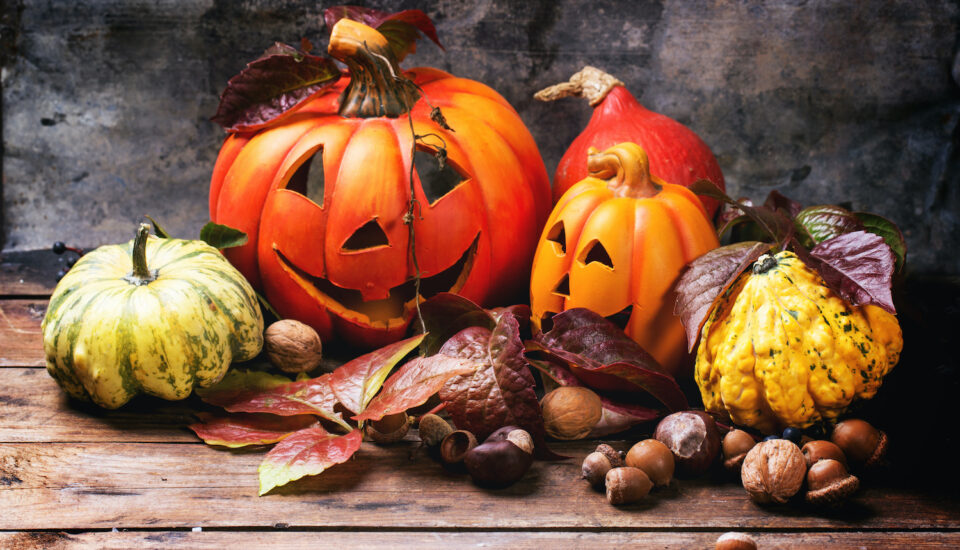 Halloween's pumpkins with autumn leaves on wooden table. See series.